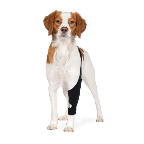 DOGLEMI Dog Rear Leg Brace for Fix Patella Dislocation