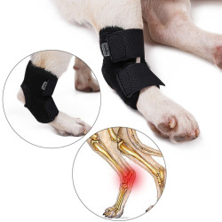 DOGLEMI Dog Leg Brace for Hock Joint Damage