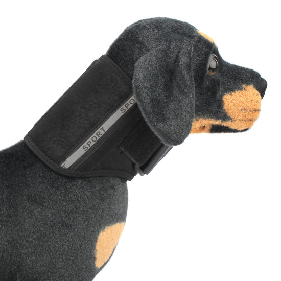 Dog Neck Brace