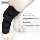 DOGLEMI Dog Hock Braces Fix Hock Joint Damage