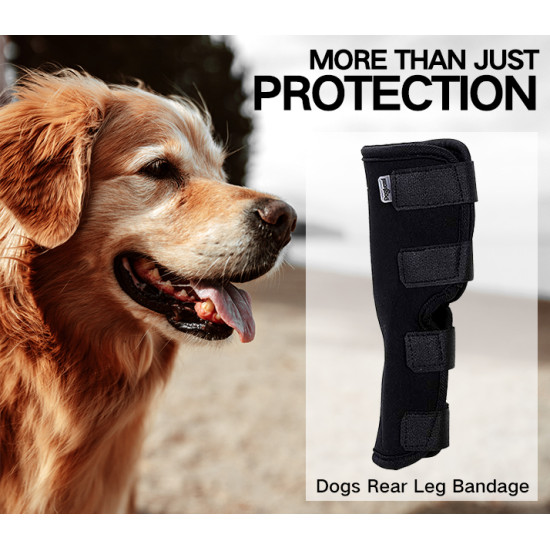 DOGLEMI Dog Hock Braces Fix Hock Joint Damage