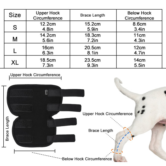 DOGLEMI Dog Hock Braces Fix Hock Joint Damage