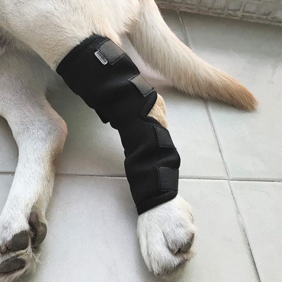 DOGLEMI Dog Hock Braces Fix Hock Joint Damage