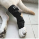 DOGLEMI Dog Hock Braces Fix Hock Joint Damage