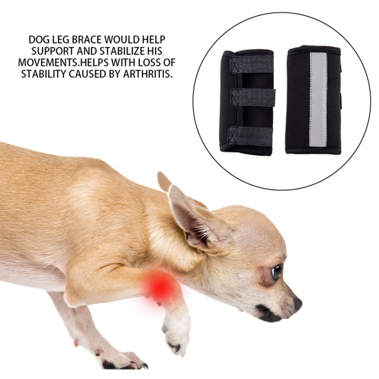 Dog Leg Braces for Fix Front Carpus Sprains