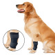 Dog Leg Braces for Fix Joints Sprains