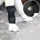 Dog Leg Braces for Fix Joints Sprains