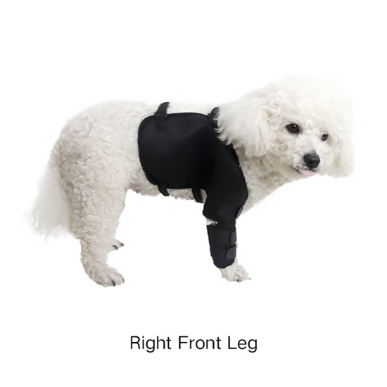 Dog Leg Wrap Sleeve for Anti-licking Biting