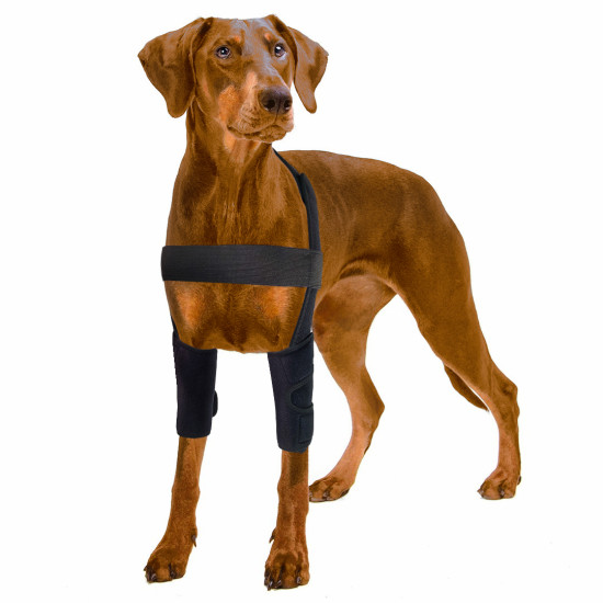 Dog Leg Wrap for Prevent Licking Chewing