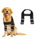 Dog Elbow Dysplasia Brace