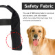 Dog Elbow Dysplasia Brace