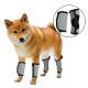 Dog Leg Brace for Hock Wrist Joint Protection