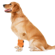 Dog Leg Wrap Postoperative Wrist Joint Hock Warmer