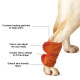 Dog Leg Wrap Postoperative Wrist Joint Hock Warmer