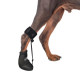 LISPOO Toe Up Boots For Dog