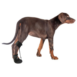 LISPOO Toe Up Boots For Dog