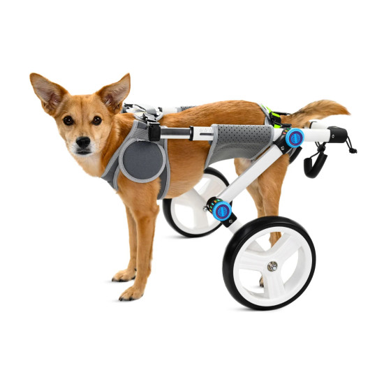 Fordable Dog Wheelchairs For Dog Back Legs