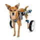 Fordable Dog Wheelchairs For Dog Back Legs