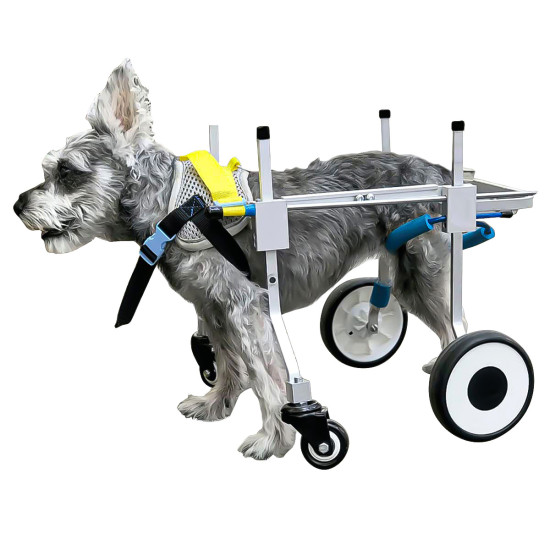 Dog Wheelchairs for Dog Leg Paralyzed Weakness