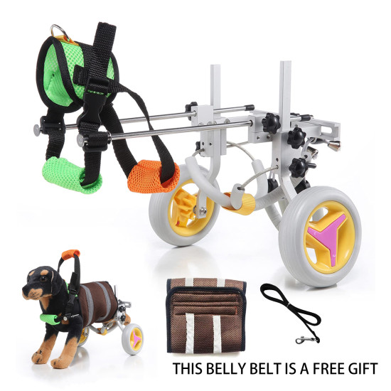 Dog Wheelchairs For Dog Back Legs Disability