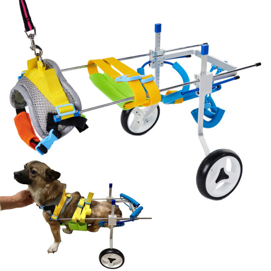 Adjustable Dog Wheelchairs for Back Legs Paralyzed Dog