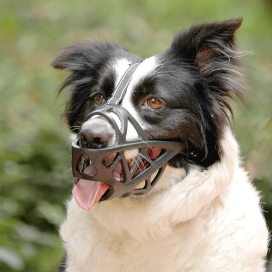 Dog Muzzle With Reflective Strips