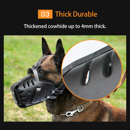 Leather Dog Muzzle