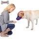 Doglemi Anti Biting Barking Adjustable Dog Muzzle