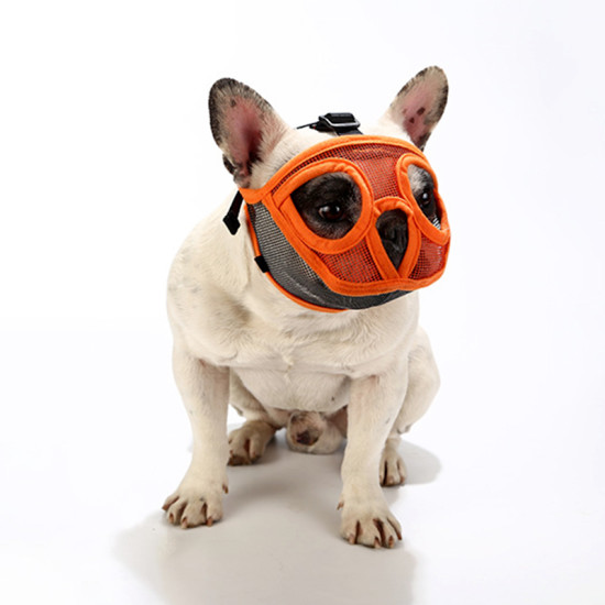 Short Mouth Dog Anti-bite Muzzles