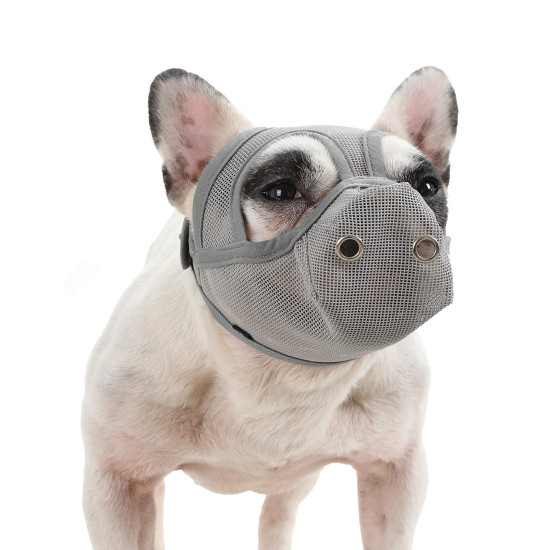 Short Mouth Dog Masks