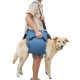 Dog Mobility Support Sling for Waist