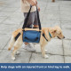 Dog Mobility Support Sling for Waist