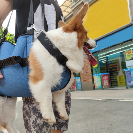 Dog Mobility Support Sling for Waist