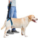 Dog Sling For Back Legs Harness