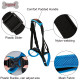 Dog Sling For Back Legs Harness