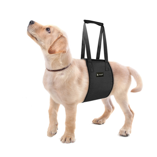 TAILUP Lift Harness for Dog Waist