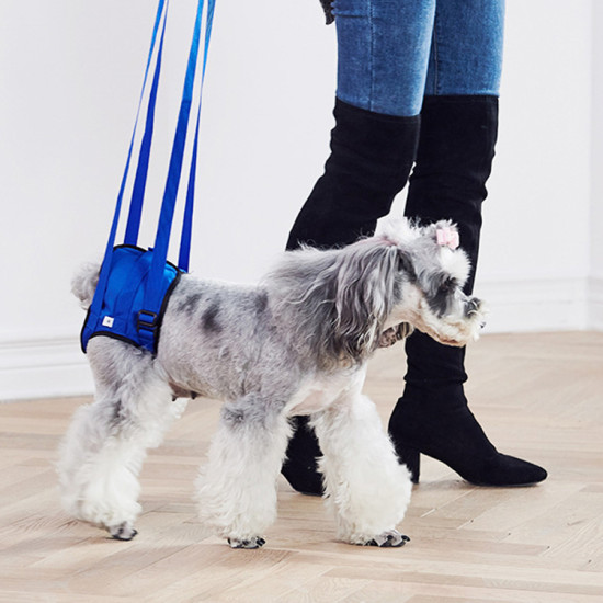 Dog Sling for Back Legs