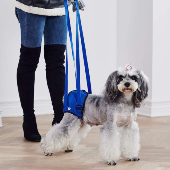 Dog Sling for Back Legs