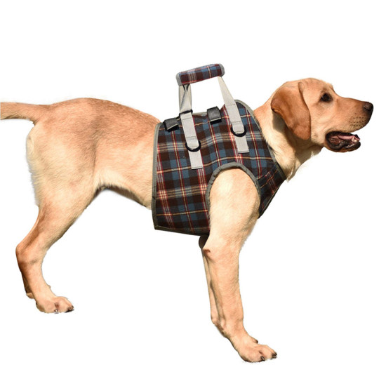 Dog Lift Harness for Front Legs