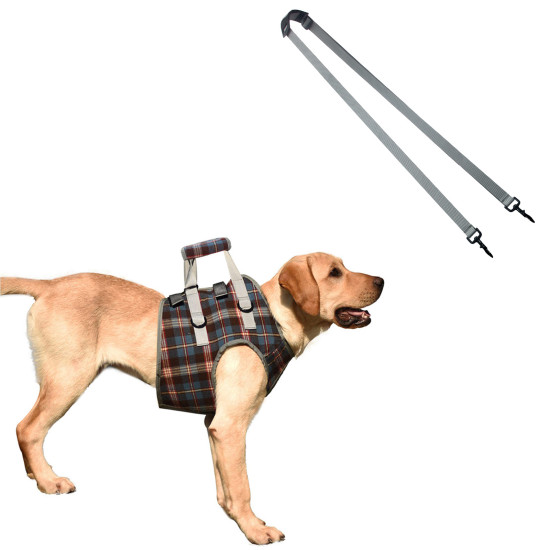 Dog Lift Harness for Front Legs