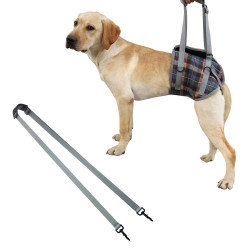 Dog Lift Harness for Hind Legs