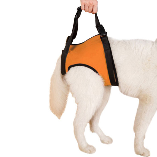 TAILUP Dog Lift Harness for Dog Front Back Leg