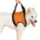 TAILUP Dog Lift Harness for Dog Front Back Leg