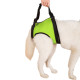 TAILUP Dog Lift Harness for Dog Front Back Leg