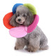 Dog Cone Collar for Postoperative Recovery