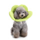 Dog Cone Collar for Postoperative Recovery