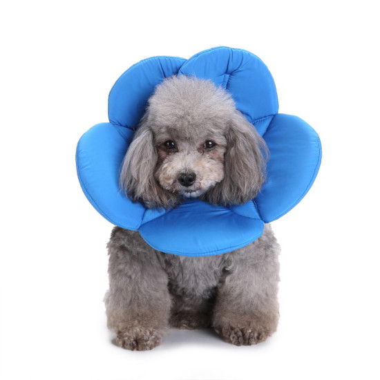 Dog Cone Collar for Postoperative Recovery