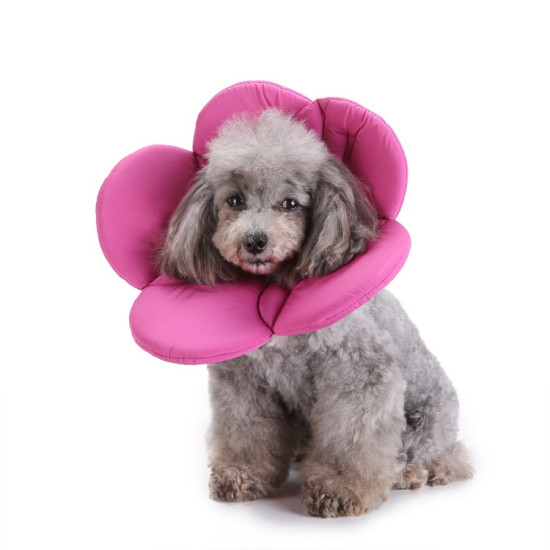 Dog Cone Collar for Postoperative Recovery