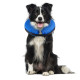 Inflatable Cat Dog Collar for Postoperative Recovery 