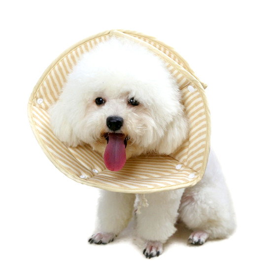 Dog Cones for Foldable Sponge Collar